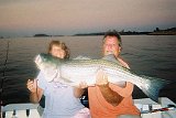 CINDY-43inch CAUGHT 7-19-2006-72-6